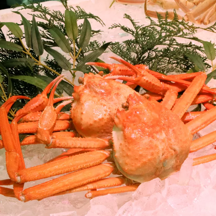 鳥取県産 浜茹で紅ズワイガニA級 2枚