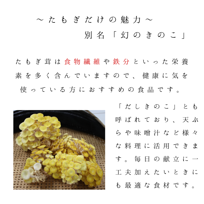 HO04：鳥取県産オーガニックきのこバラエティ小セット（5種7