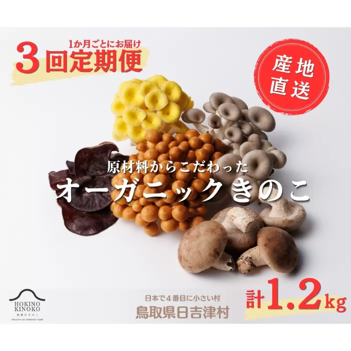 【3回定期便】オーガニックきのこ 5種 定期便