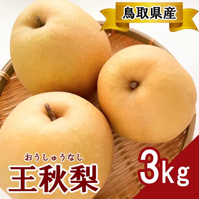 プレミアム王秋梨　3kg【梨 赤梨 王秋梨 おうしゅうなし 3kg 先行予約 期間限定 数量限定 なし ナシ 晩生種 果物 くだもの フルーツ 旬 厳選 プレミアム 高糖度 甘い 贈り物 ギフト お取り寄せ 産地直送 鳥取県】