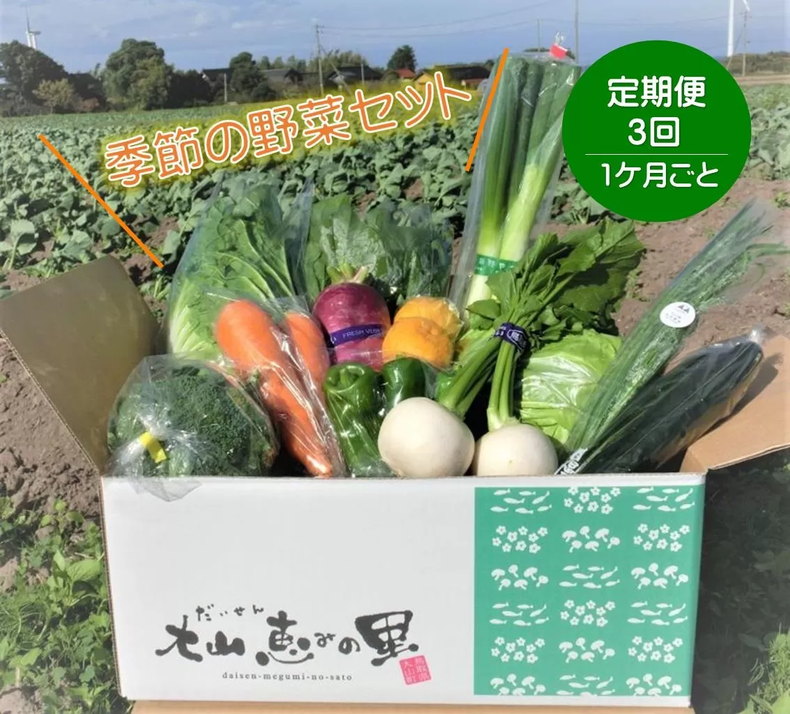 TD01：【定期便】季節の野菜セット（3回お届け）