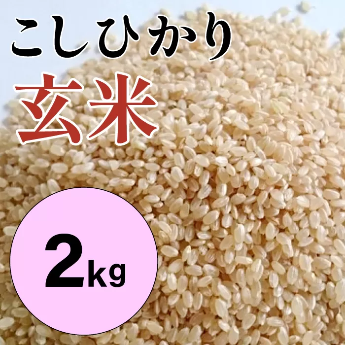 大山の一粒 玄米 2kg【玄米 2kg 2キロ こめ コメ げんまい ゲンマイ 先行予約 お米 こしひかり コシヒカリ ごはん ライス 国産 お取り寄せ 鳥取県 大山町】