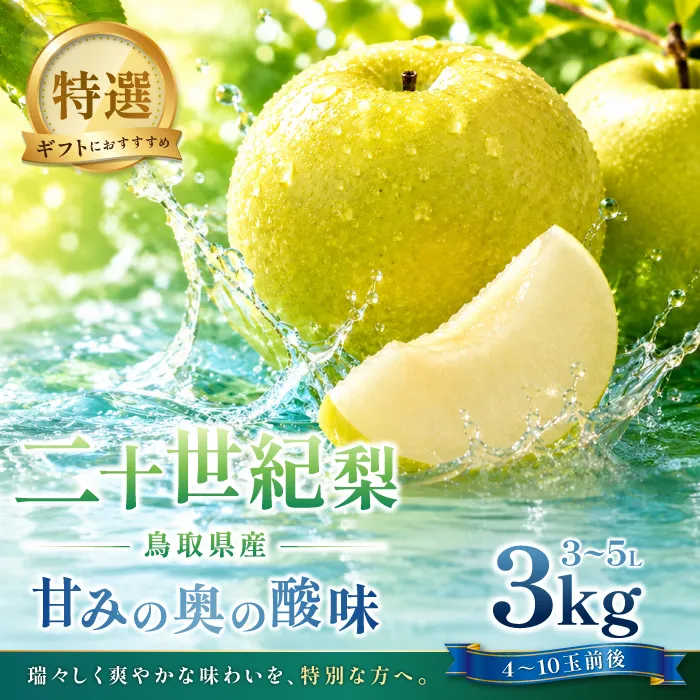 二十世紀梨　特選3kg【梨 特選 3kg 20世紀 二十世紀 先行予約 期間限定 数量限定 フルーツ 果物 なし ナシ 贈答 贈り物 ギフト お取り寄せ 産地直送 鳥取県】