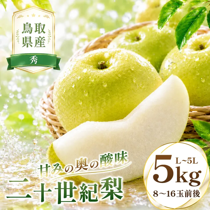 二十世紀梨　秀5kg前後【梨 秀品 5kg 20世紀 二十世紀 先行予約 期間限定 数量限定 フルーツ 果物 なし ナシ 贈答 贈り物 ギフト お取り寄せ 産地直送 鳥取県】