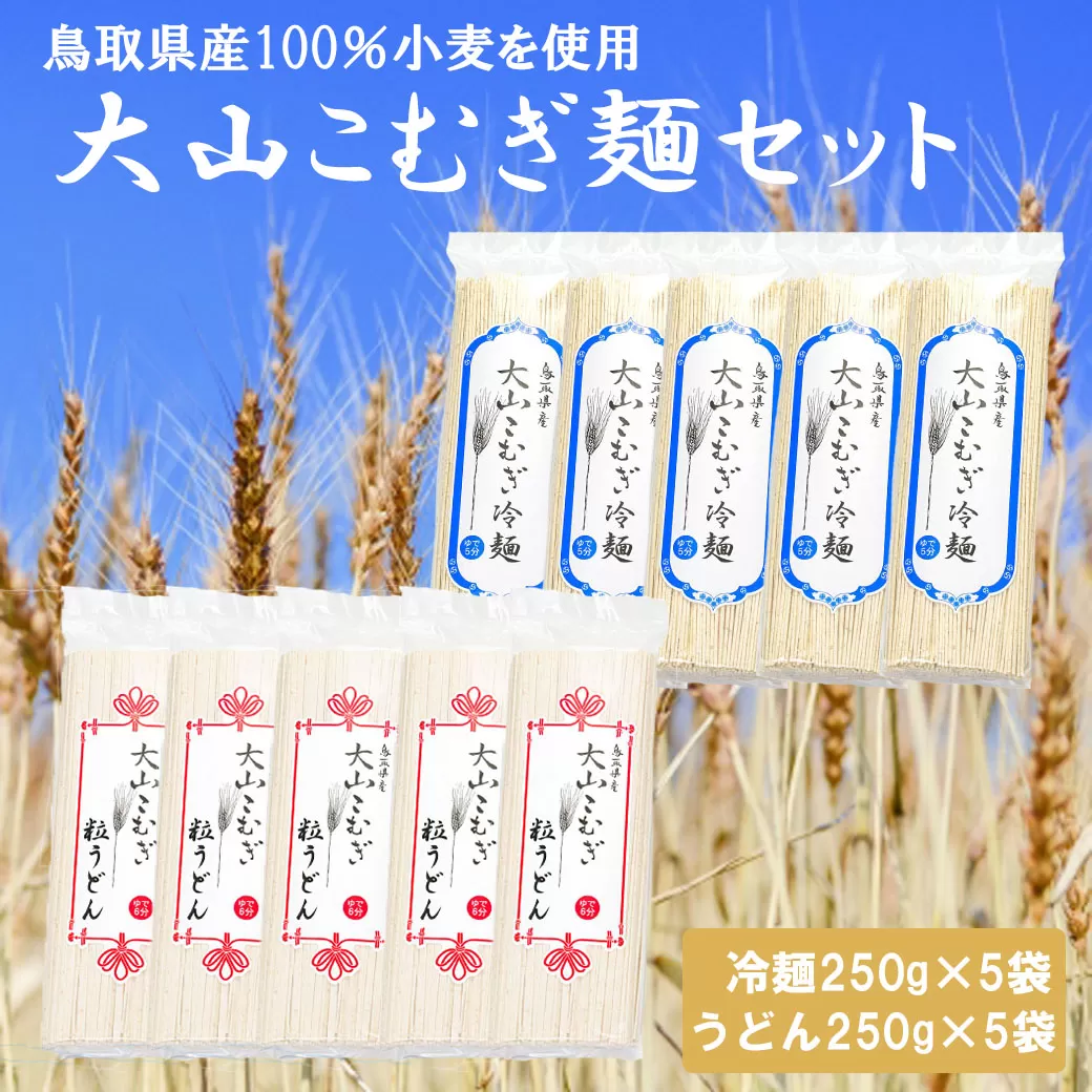 IW02：鳥取県産大山こむぎ麺セット（粒うどん・冷麺）10袋