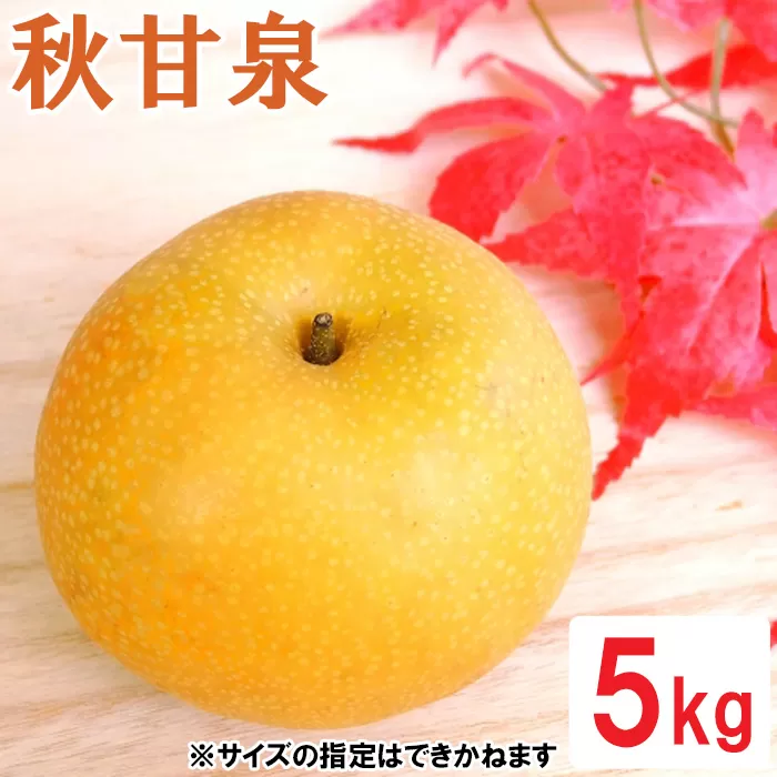 鳥取県産 秋甘泉梨　5kg