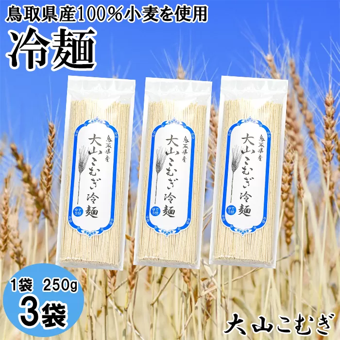 IW10：鳥取県産大山こむぎ冷麺3袋