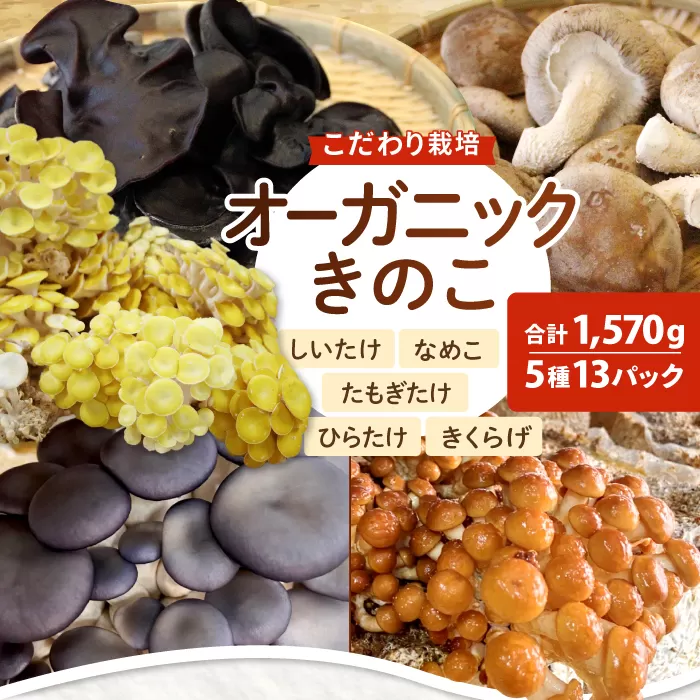 オーガニックきのこバラエティセット約1.5kg（5種13パック入）
