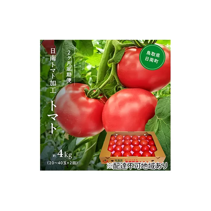 【先行予約】【定期便2ヶ月】星降る里日南町　樹熟れトマト4kg