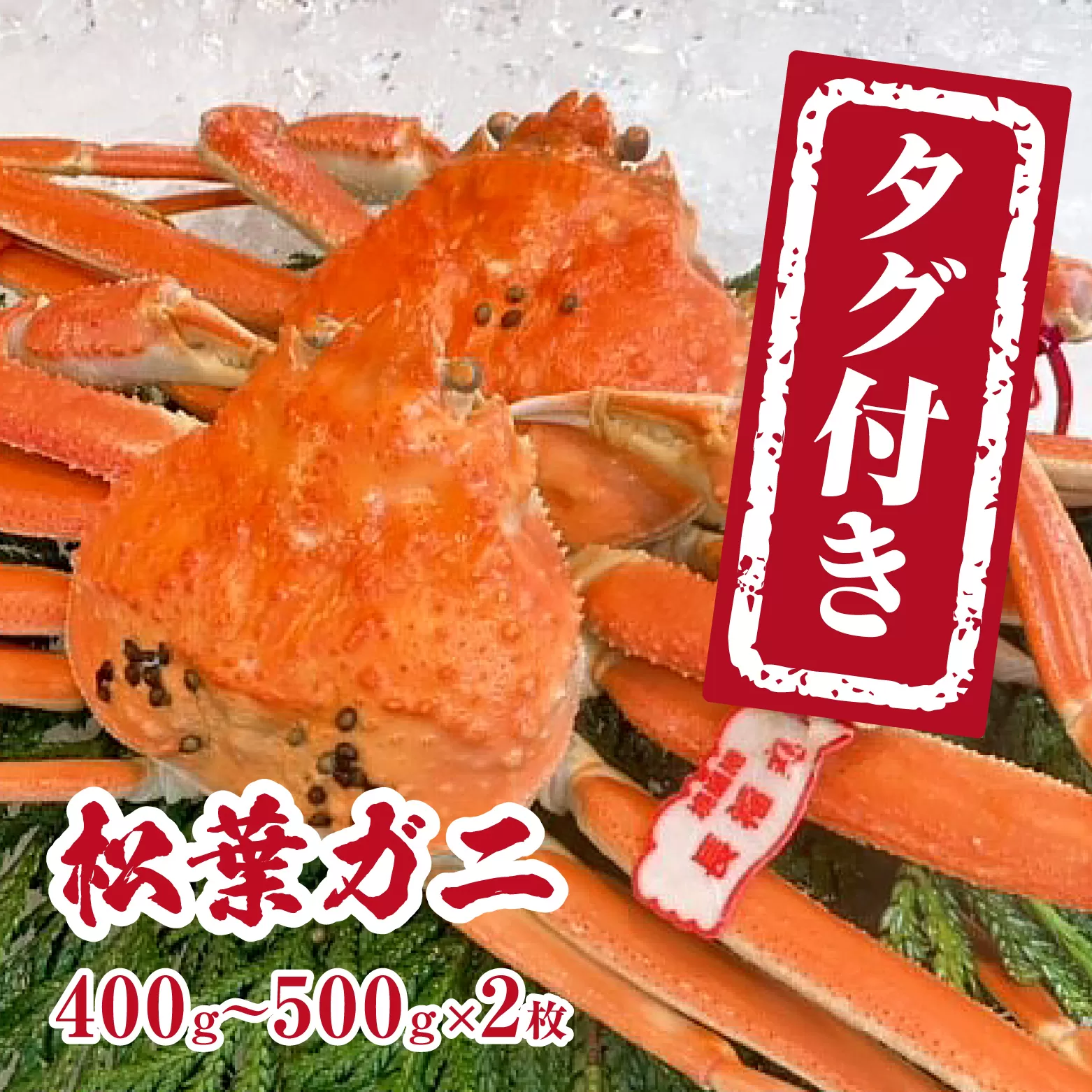 【チルドでお届け】【ボイル】境港水揚げ タグ付き松葉ガニ (400〜500g×2枚) 魚々魚厳選 松葉がに 松葉蟹
