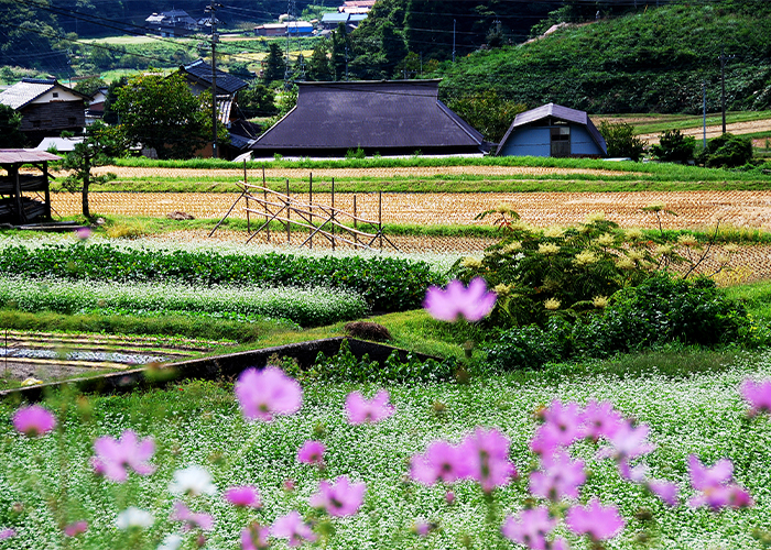 鳥取県日野町