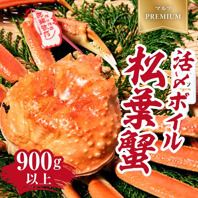 【2025年1月15日以降順次発送】【マルツPREMIUM】タグ付き 活〆ボイル松葉蟹 900g以上 【北海道・沖縄・離島配送不可】 松葉ガニ 松葉がに 蟹 カニ かに 境港 マルツ 鳥取県日野町