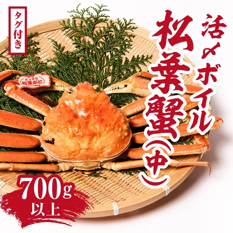 【2025年1月15日以降順次発送】【タグ付き】活〆ボイル松葉蟹(中) 700g以上 【北海道・沖縄・離島配送不可】 松葉ガニ 松葉がに 蟹 カニ かに 境港 マルツ 鳥取県日野町