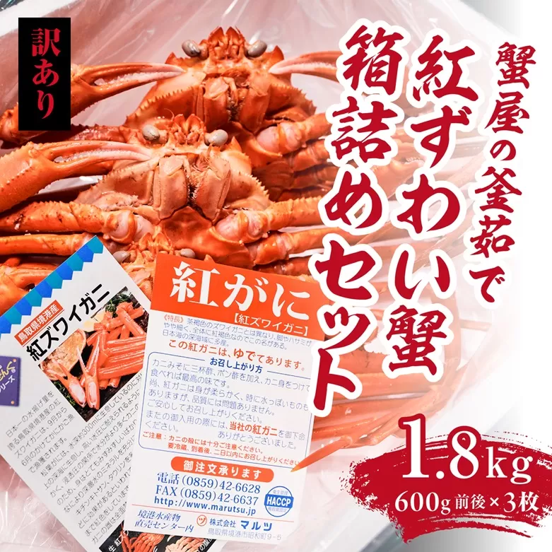 【訳あり】蟹屋の釜茹で紅ずわい蟹1.8kg箱詰めセット 600g前後×3枚 【北海道・沖縄・離島配送不可】 ベニズワイガニ 紅ずわいがに カニ かに 境港 マルツ ボイルズワイガニ 鳥取県日野町