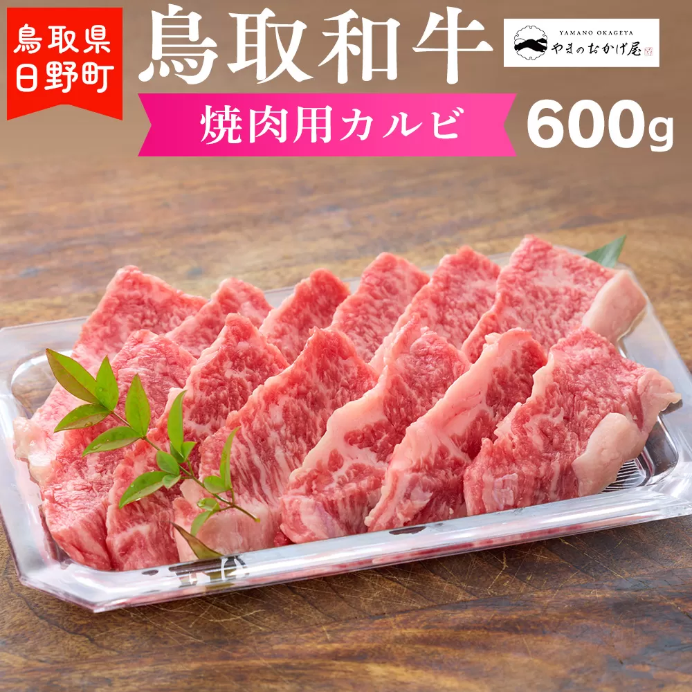鳥取和牛 焼肉用カルビ（600g）【やまのおかげ屋】HN020-001