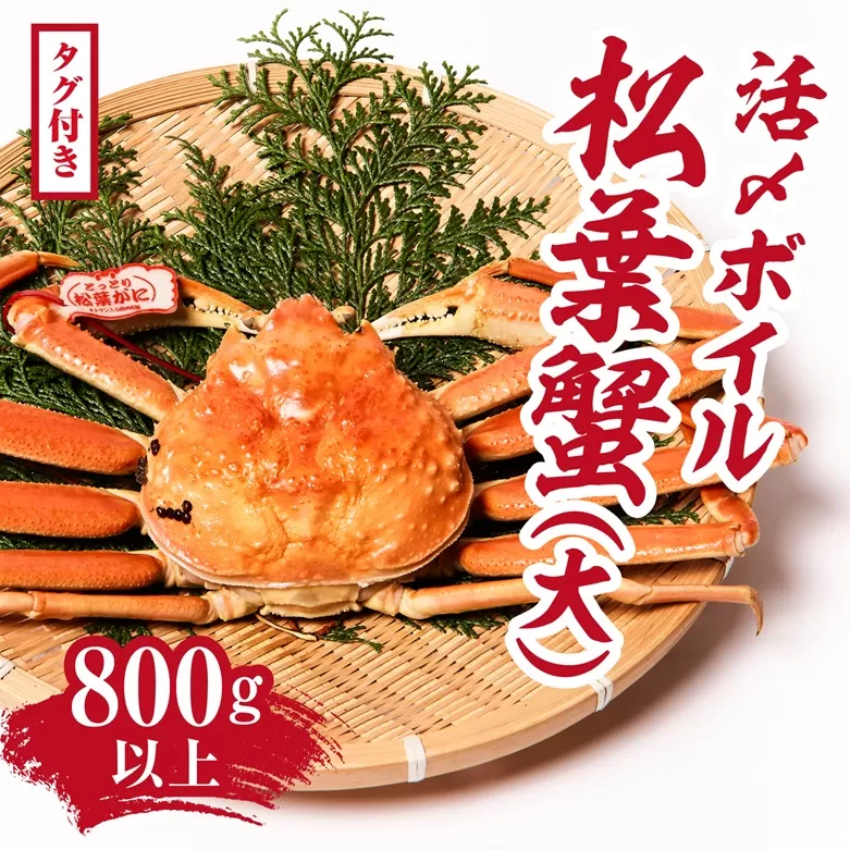 【2025年1月15日以降順次発送】【タグ付き】活〆ボイル松葉蟹(大) 800g以上 【北海道・沖縄・離島配送不可】 松葉ガニ 松葉がに カニ かに 境港 マルツ 鳥取県日野町