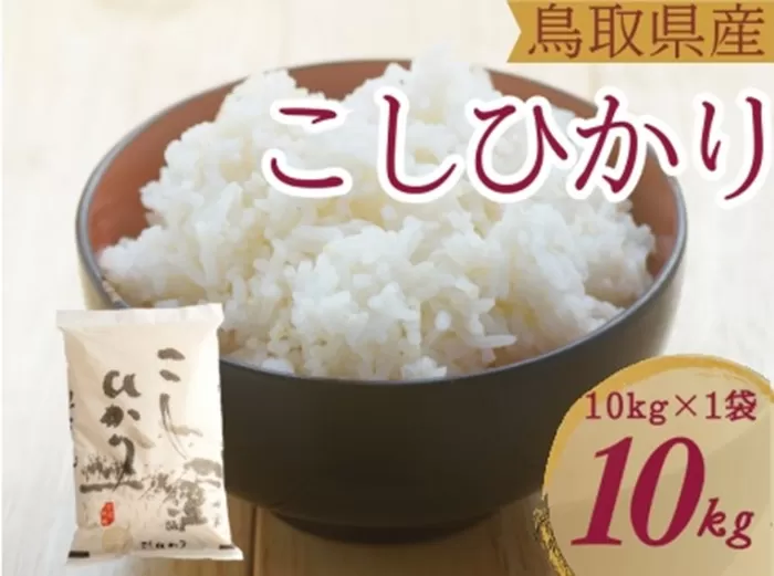 米 こしひかり10kg 鳥取県産 こめ 精米 コシヒカリ 令和7年産 送料無料 1053