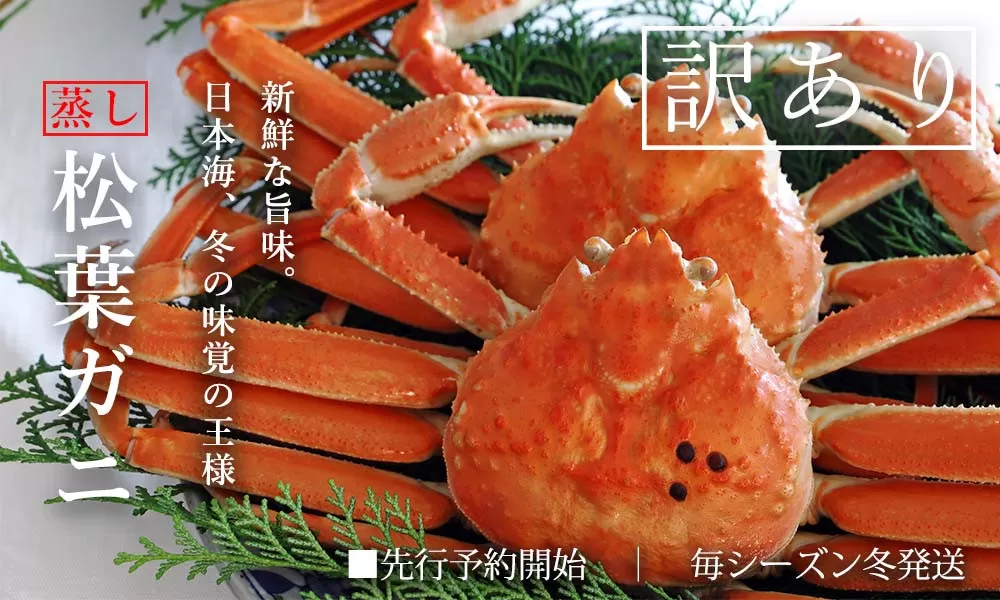 【蒸し】松葉ガニ 大2枚 訳あり ご自宅用 (1枚800〜940g前後) ズワイガニ かに TM4 0714