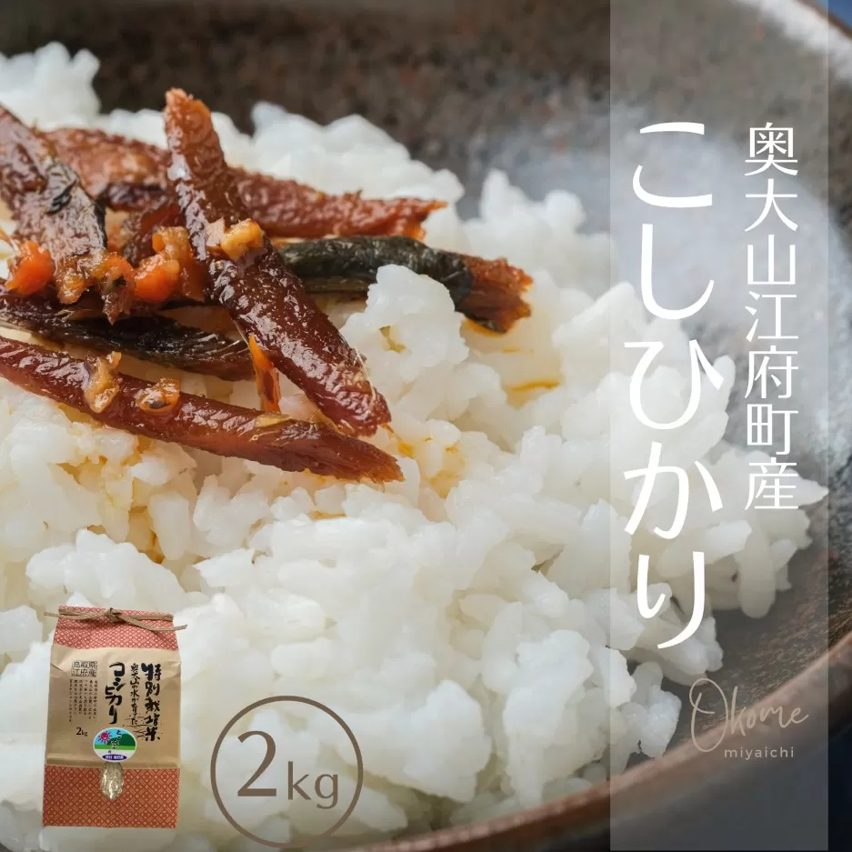 【令和7年産】コシヒカリ 2kg 特別栽培米 鳥取県江府町産 こしひかり 精米 産地直送 お試し 2ｷﾛ 0930