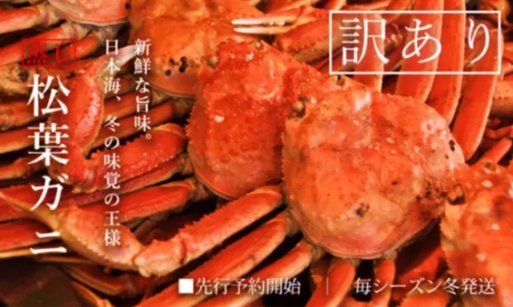 【蒸し】訳あり 足折れ松葉ガニ 計1.5kg前後 / ずわいがに カニ 訳アリ TM13 0723