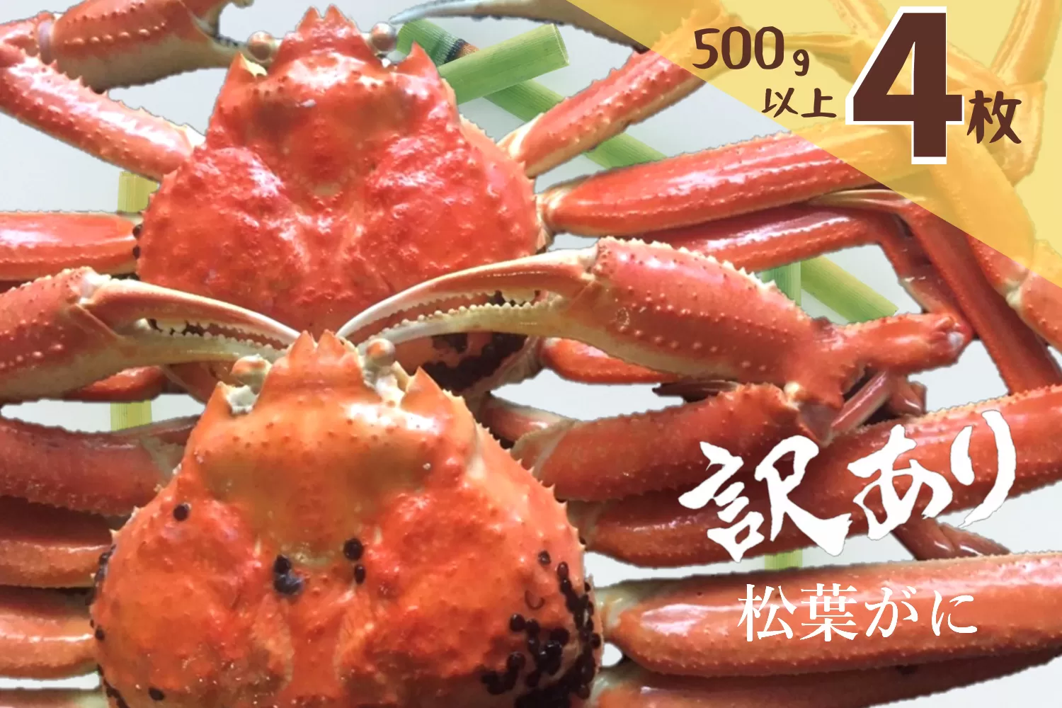 訳あり 蒸し松葉がに(ずわいがに) 4枚 冷蔵発送 カニ 境港 山芳海産 0502