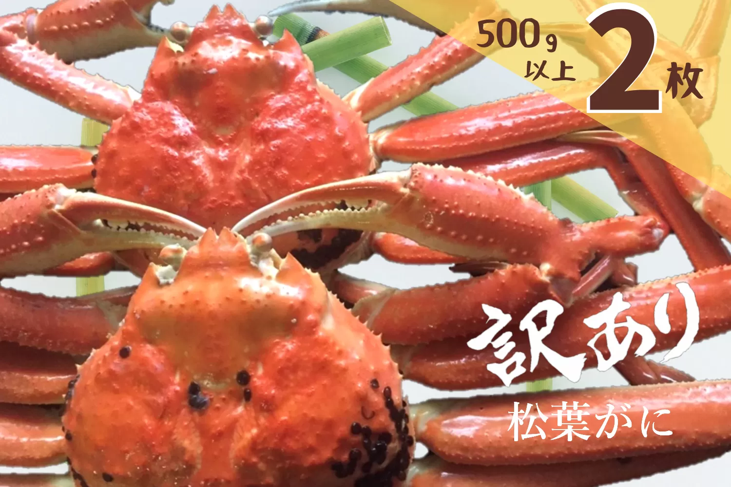 訳あり 蒸し松葉がに(ずわいがに) 2枚 冷蔵発送 カニ 境港 山芳海産 0501
