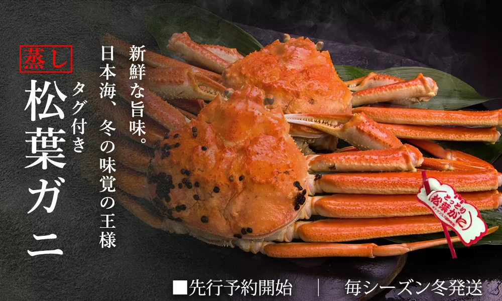 [蒸し]タグ付き松葉ガニ 中 2枚 / ( 枚500〜640g前後) ずわいがに カニ TM10 0720