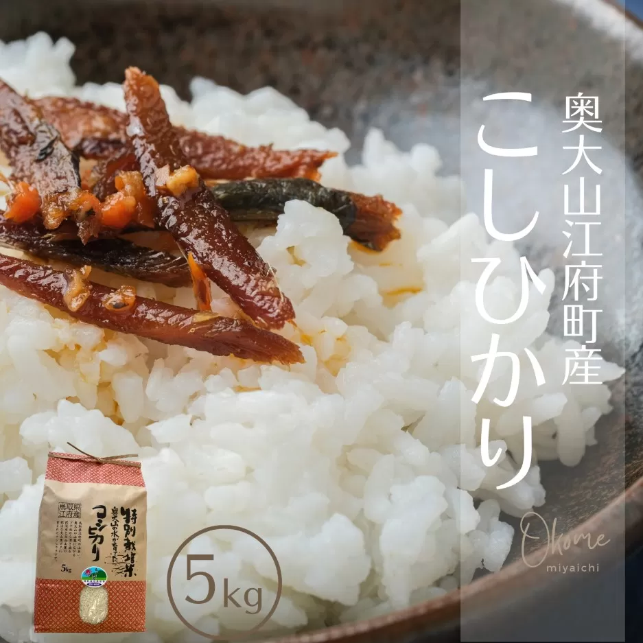 【令和7年産】コシヒカリ 5kg 特別栽培米 鳥取県江府町産 こしひかり 精米 産地直送 5ｷﾛ 0931