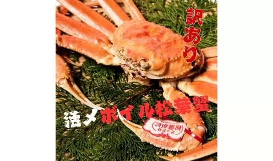 【訳あり】活〆ボイル松葉蟹　700g前後 カニ専門店マルツ 先行受付 M12　1187