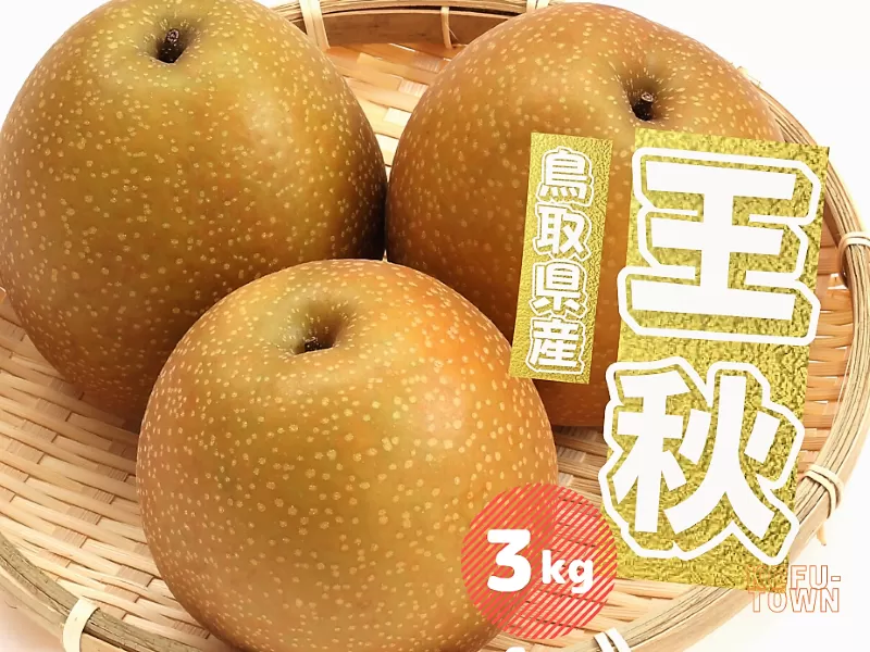 王秋 梨 3kg 3~8玉前後 鳥取県産 先行予約受付 2025年秋冬収穫分 なし 3キロ TM46 0697