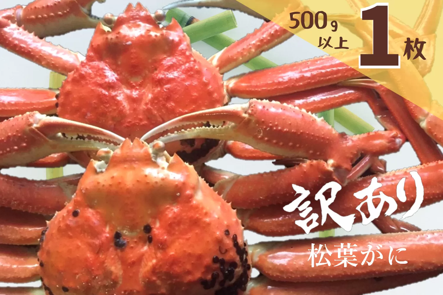 訳あり 蒸し松葉がに(ずわいがに) 1枚 冷蔵発送 カニ 境港 山芳海産 0782