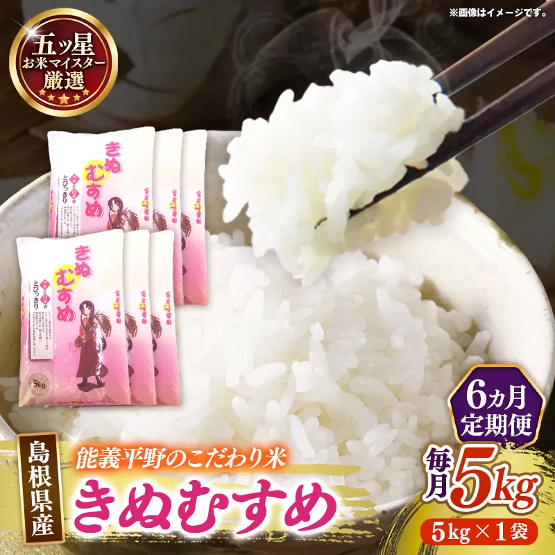 【定期便】五ツ星お米マイスター厳選 能義平野のきぬむすめ 5kg×6ヵ月 【令和7年産 ５KG 6ヶ月 毎月 計30kg 精米 白米 ご飯 お米 美味しい 安心 安全 沼田米穀店 島根県 安来市】【85-NB-11】