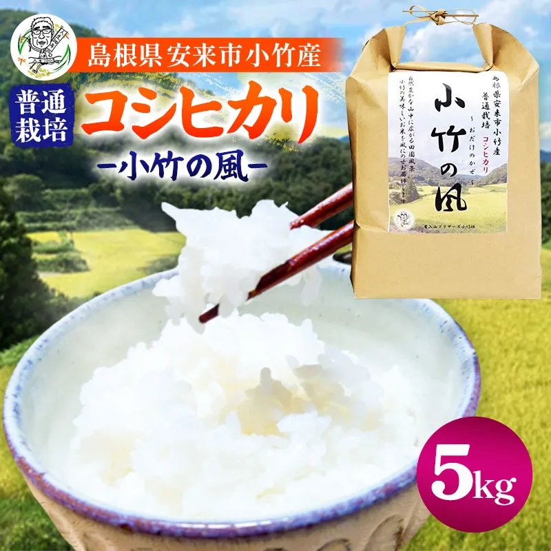 新米 令和8年産 小竹の風（コシヒカリ）5kg×1袋 【 お米 こしひかり 化学肥料不使用 島根県産 精米 白米 島根県 安来市 】【20-TB-23】