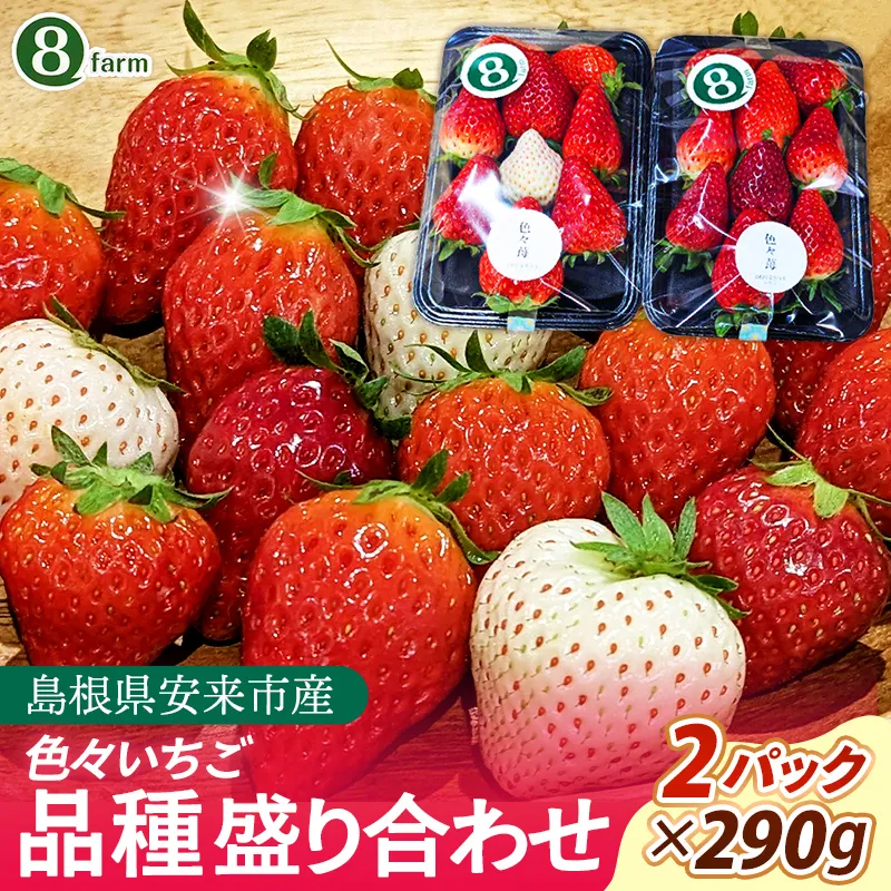【先行予約】「色々苺」品種盛り合わせパック 品種かわかるメモ付【食べ比べ いちご 約290g×2パック 苺 冷蔵 安来】【13-FA-01】
