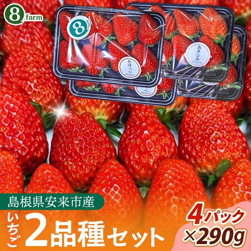 【先行予約】イチゴ2品種 4パックセット【 約290g×4パック 約1160g 食べ比べ いちご 苺 ストロベリー 冷蔵 安来市産】【16-FA-05】