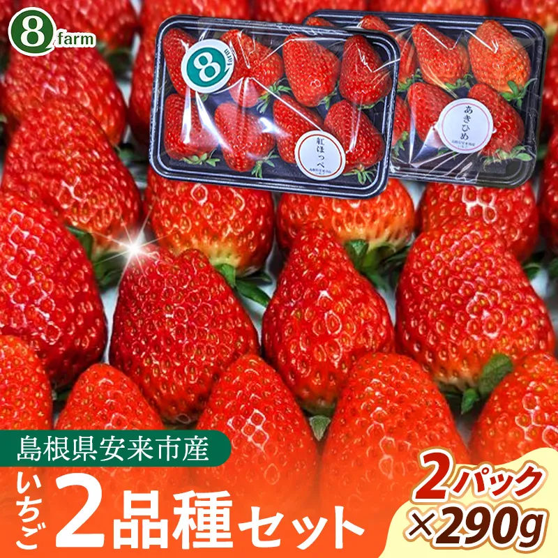 【先行予約】イチゴ2品種 2パックセット【食べ比べ いちご 約290g×2パック 苺 冷蔵 安来】【価格変更】【09-FA-02】