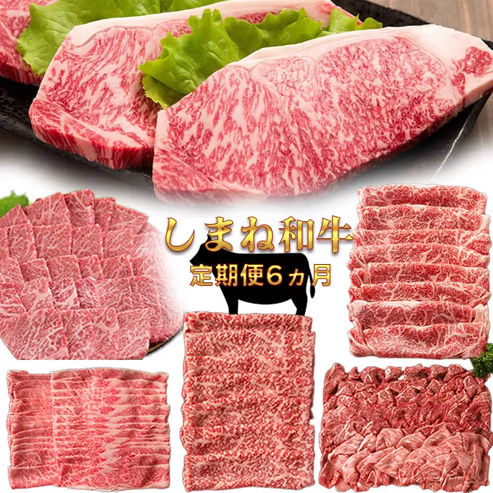 【定期便】 しまね和牛6ヵ月便【しまね和牛 サーロイン ステーキ カルビ 切り落とし 牛肩ロース モモスライス 肩バラ 】