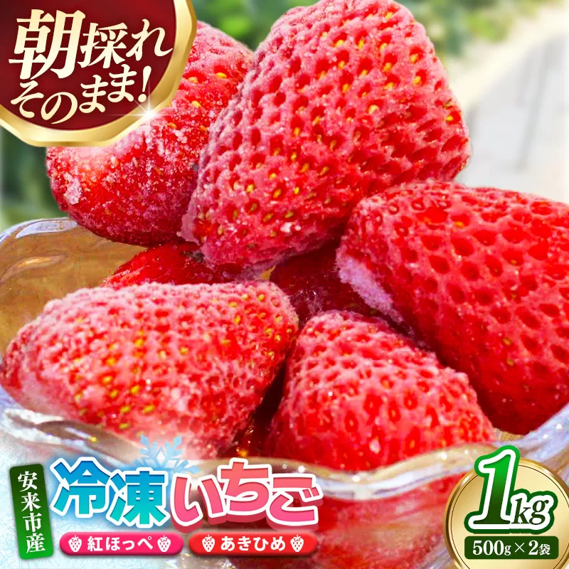 冷凍いちご （ヘタカット済み 500gの小分け袋 x 2個入り）【苺 イチゴ 冷凍 果物 フルーツ 完熟 甘い 紅ほっぺ あきひめ ジャム シャーベット スムージー 島根県 安来市 安来市産】
