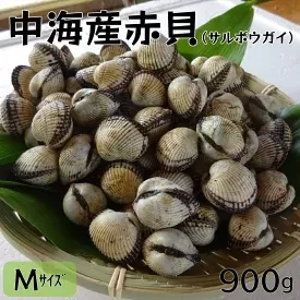 中海産赤貝（サルボウガイ）Ｍサイズ 900g【赤貝 中海産 貝 ぷりぷり 濃厚 料理 おつまみ 調理しやすい 養殖 おいしい おすすめ 送料無料 島根県 安来市】