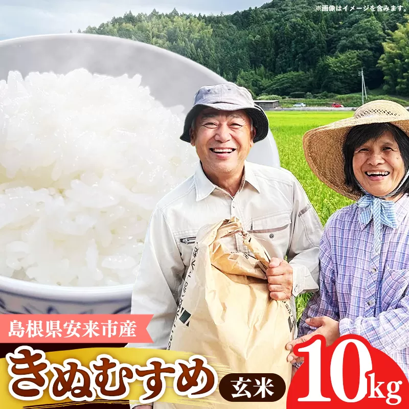 【先行受付】島根県安来市産 きぬむすめ 玄米 10kg 【令和7年産 新米 先行 予約 お米 こめ コメ 米 ごはん ご飯 国産 お弁当 美味しい 人気 おすすめ 島根県 安来市】【価格変更】