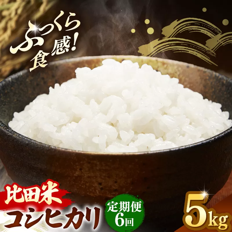 比田米 コシヒカリ(精米)5kg×6回 定期便【令和7年産 米 お米 こしひかり ごはん ご飯 国産 お弁当 美味しい 人気 おすすめ 島根県産 島根県 安来市】
