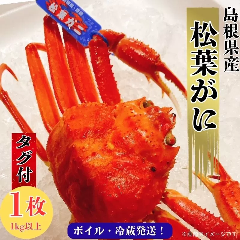 松葉ガニ1kg以上（1枚入り）【タグ付き ブランド ズワイガニ ボイル 姿 1匹 冷蔵 島根県 国産 おすすめ 美味しい 高級】