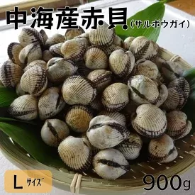 中海産赤貝（サルボウガイ）Ｌサイズ 900g【赤貝 中海産 貝 ぷりぷり 濃厚 料理 おつまみ 調理しやすい 養殖 おいしい おすすめ 送料無料 島根県 安来市】