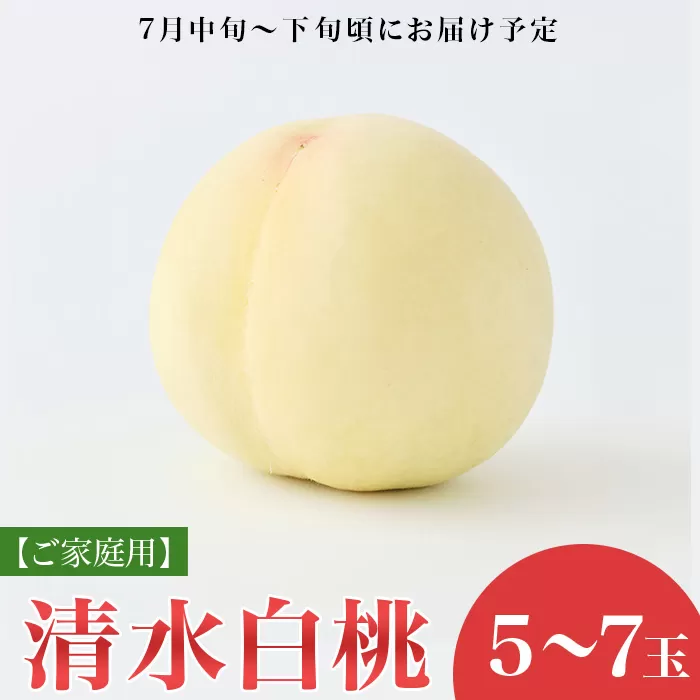 【ご家庭用】岡山白桃 清水白桃 5～7玉【2026年7月中旬頃から順次発送】