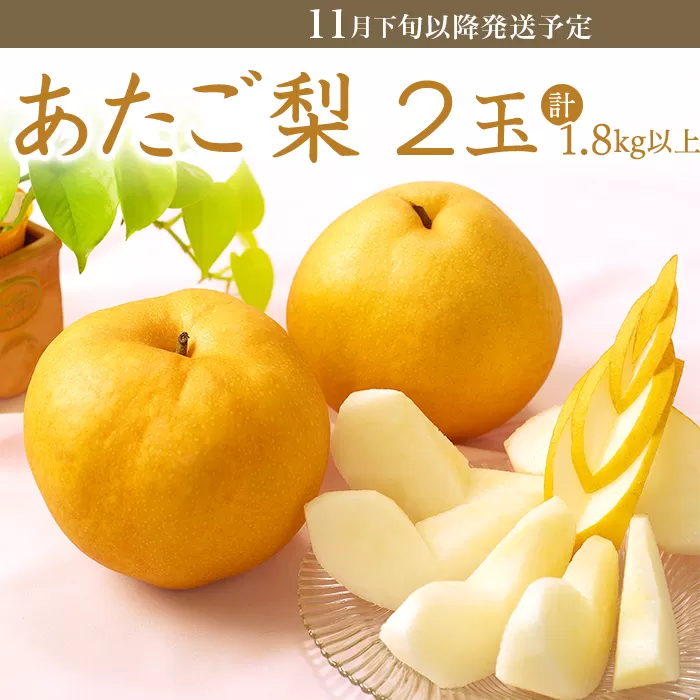 74-22 あたご梨2玉（1.8kg以上）【2026年11月下旬～12月中旬発送予定】