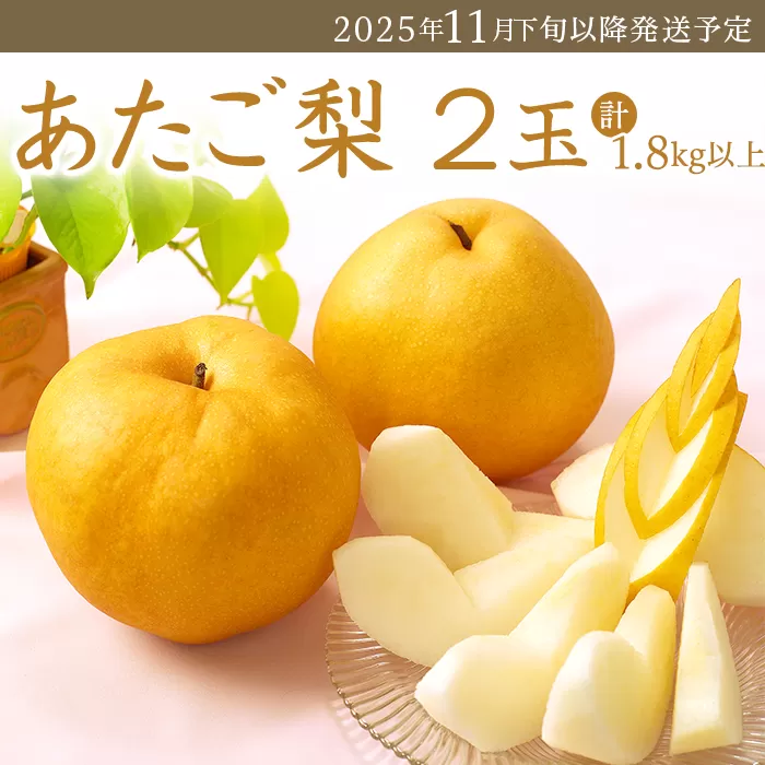 74-22 あたご梨2玉（1.8kg以上）【2025年11月下旬～12月中旬発送予定】