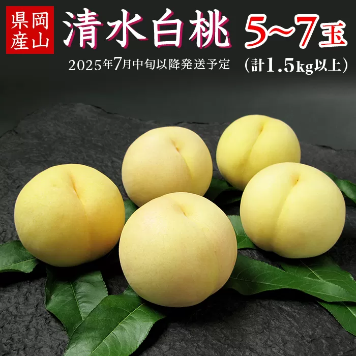 74-12 清水白桃5～7玉（計1.5kg以上）【2025年7月中旬～7月下旬発送予定】