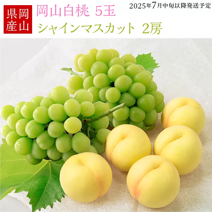 74-15 白桃5玉とシャインマスカット2房セット【2025年7月中旬～8月上旬発送予定】