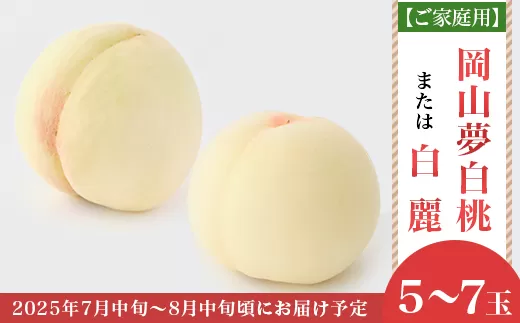 【ご家庭用】岡山白桃「岡山夢白桃もしくは白麗」5～7玉