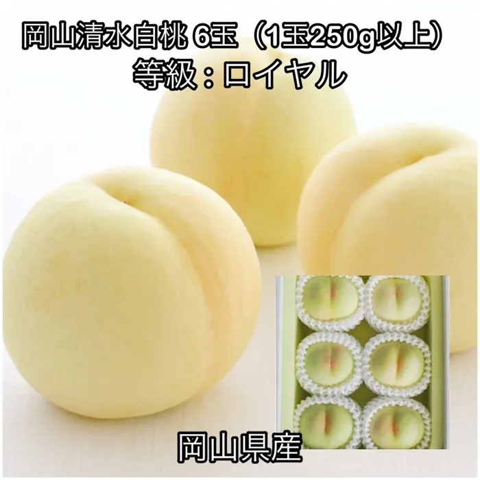 岡山清水白桃6玉(1玉250g以上)ロイヤル 化粧箱入り岡山県産
